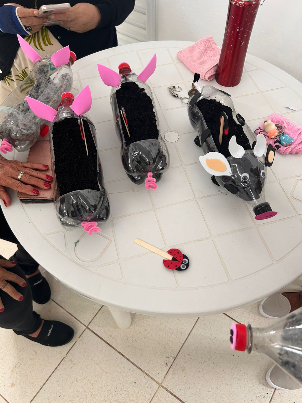 Mãos que Plantam, Memórias que Florescem